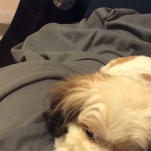 Meet your Posher, Cindy